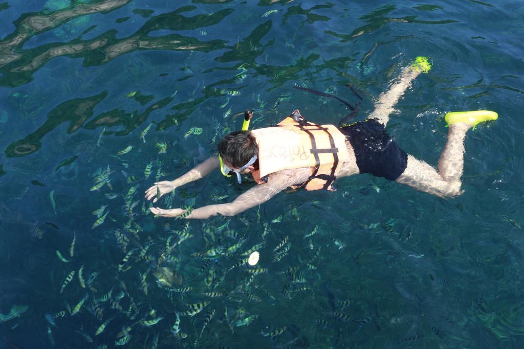 コタオ ヒルサイドリゾート タオ島 エクステリア 写真